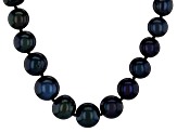 Black Cultured Freshwater Pearl Rhodium Over 14k White Gold Graduated Necklace