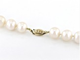 White Cultured Freshwater Pearl 14k Yellow Gold Necklace