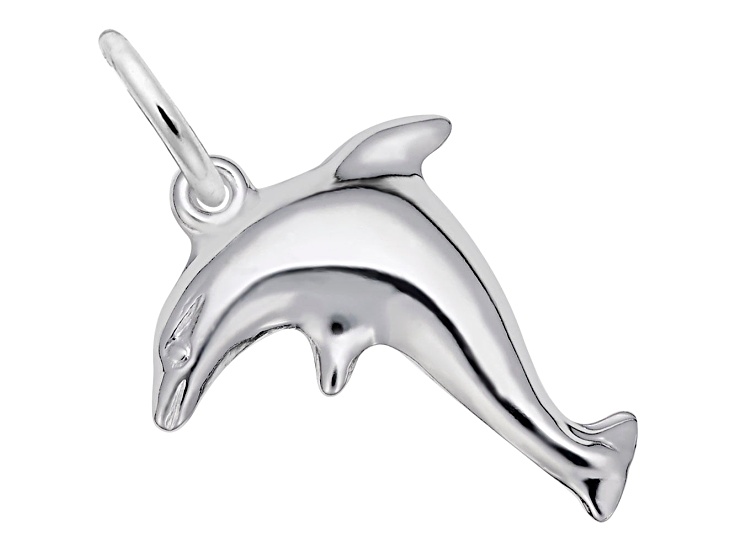 Silver Dolphin Charm