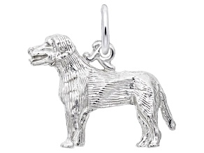 Silver Labrador Charm