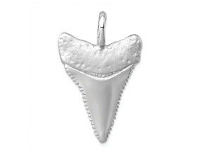Rhodium Over Sterling Silver Great White Shark Tooth Pendant
