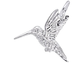 Silver Hummingbird Charm