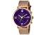 Christian Van Sant Men's Somptueuse LTD Purple Dial, Rose Stainless Steel mesh Watch