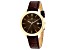 Christian Van Sant Women's Octave Slim Brown Dial, Yellow Bezel, Brown Leather Strap Watch