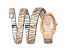 Just Cavalli Women's Snake Two-tone Dial, Two-tone Rose Stainless Steel Watch
