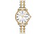 Coach Women's Arden White Dial, Stainless Steel Watch