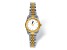 LogoArt University of Florida Pro Two-tone Ladies Watch