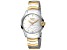Ferre Milano Women's Fashion 34mm Quartz Gray Dial Stainless Steel Watch