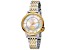 Ferrè Milano Women's Fashion 32mm Quartz Watch, White Dial