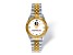 LogoArt Florida State University Pro Two-tone Gents Watch