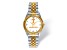 LogoArt University of Tennessee Knoxville Pro Two-tone Gents Watch