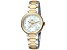 Ferre Milano Women's Fashion 32mm Quartz Two-tone Yellow Stainless Steel Watch