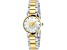 Gucci Women's G-Timeless White Dial, Two tone Stainless Steel Watch