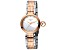 Ferre Milano Women's Fashion 28mm Quartz Two-tone Rose Stainless Steel Watch