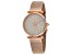 Just Cavalli Women's Animalier Rose Dial, Rose Stainless Steel Watch