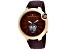 Christian Van Sant Men's Cyclone Automatic Brown Dial, Brown Leather Strap Watch