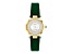 Coach Women's Cary White Dial, Green Leather Strap Watch