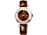 Christian Van Sant Women's Bria Brown Dial, Brown Leather Strap Watch