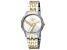 Ferre Milano Women's Fashion 32mm Quartz Gray Dial Two-tone Yellow Stainless Steel Watch