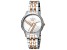 Ferre Milano Women's Fashion 32mm Quartz Gray Dial Two-tone Rose Stainless Steel Watch