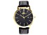 Adee Kaye™ Gold Tone Stainless Steel Case and Black Leather Band Gent's Watch