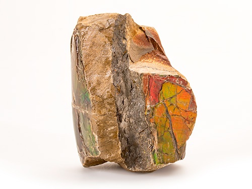 Ammolite specimen