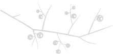 Holiday illustrations