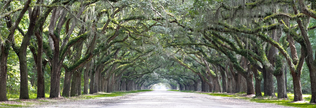 Savannah, Georgia